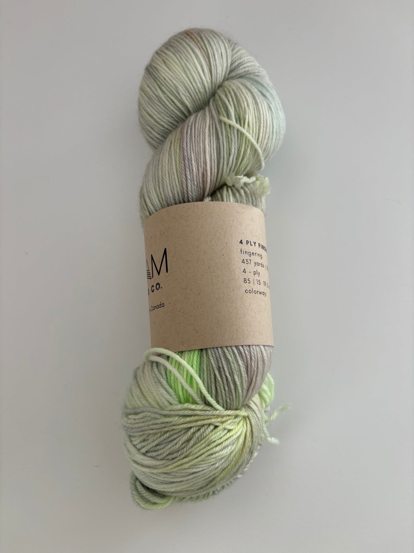 Sock Ready to Ship - Fingering Weight Yarn