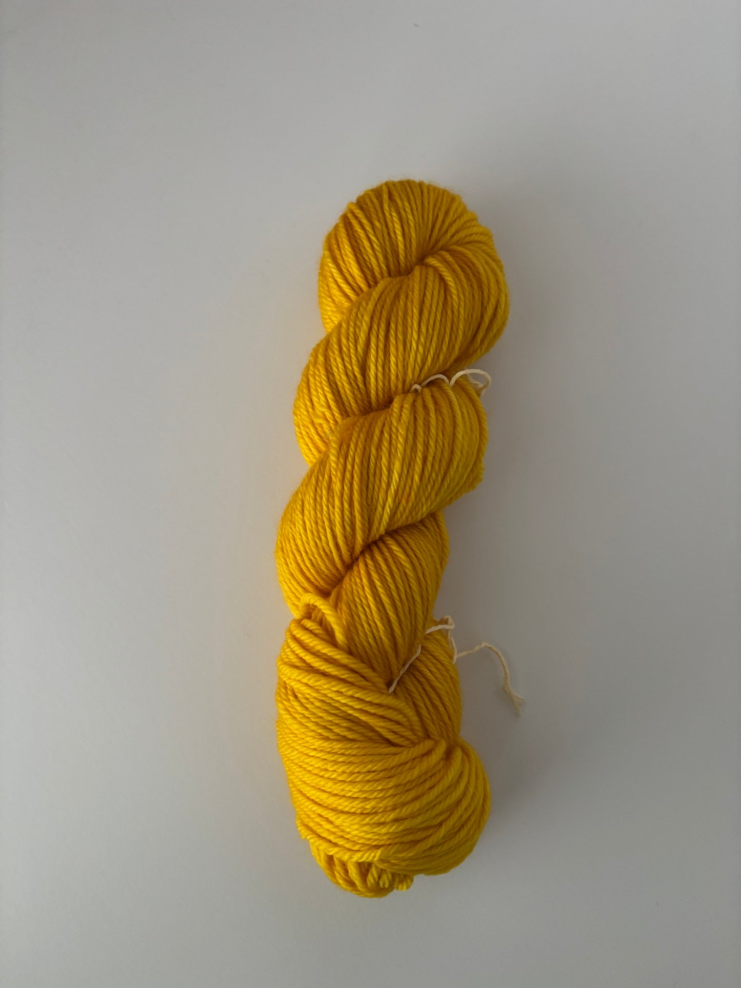 Ted Lasso Semi-solids - - Goldfish -- BBQ Sauce