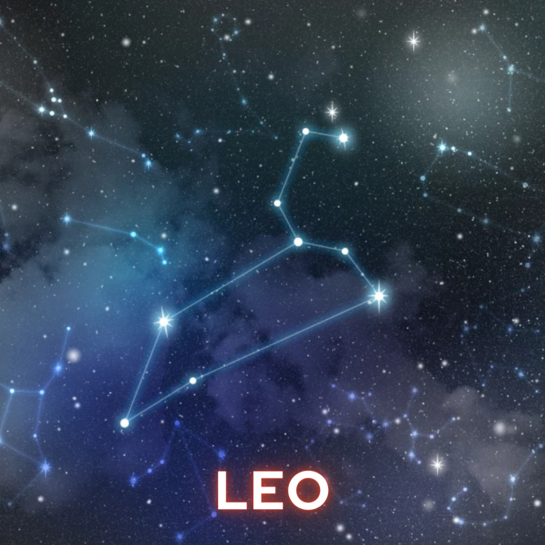 Constellation Colorway - Leo - Ready to Ship - 09/24